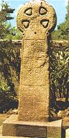 Cornish Cross