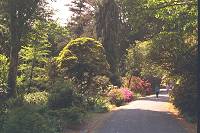 Trengwainton Gardens